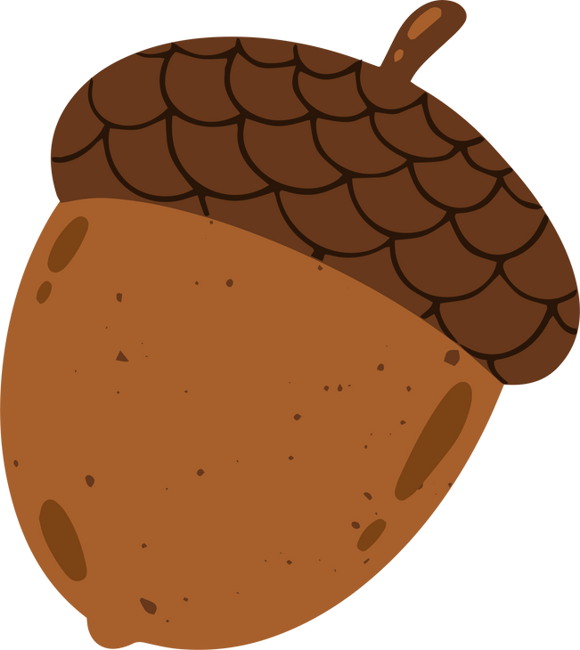 Illustration of Acorn